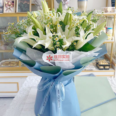 长治8支白色多头百合洋甘菊，互倾的思念